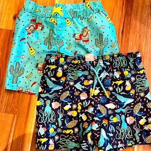 3t cat and Jack board shorts